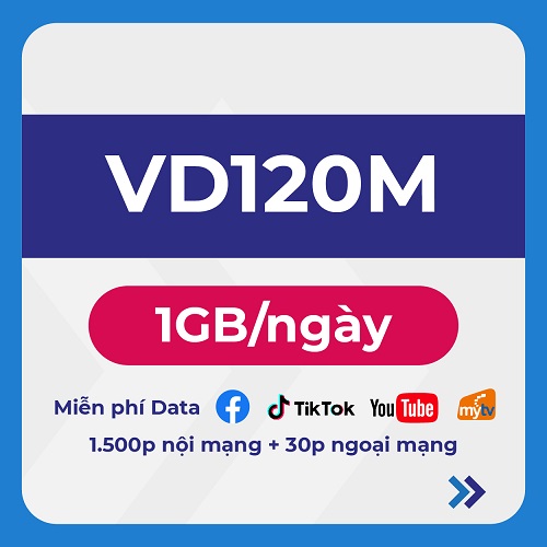 12VD120M